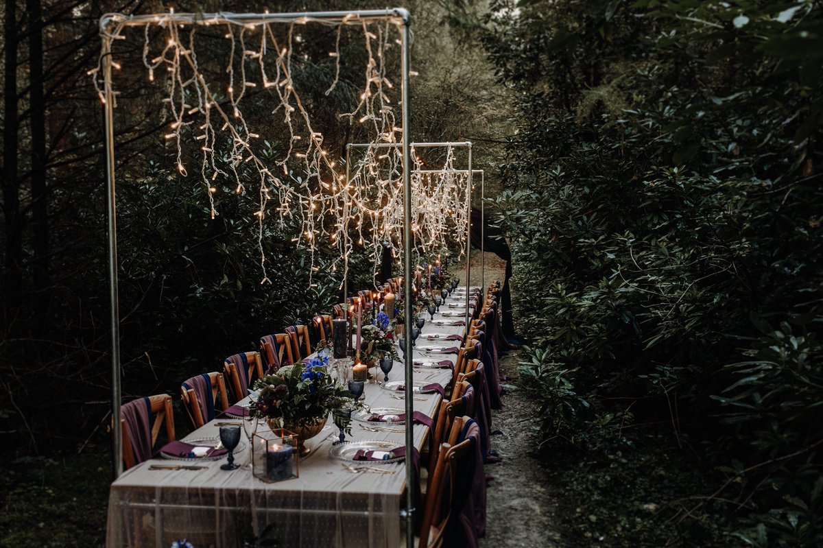 Typical Type tweet media