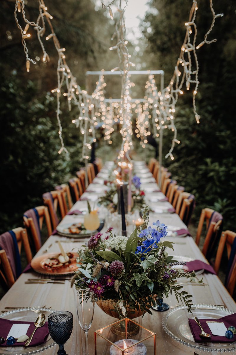 Typical Type tweet media