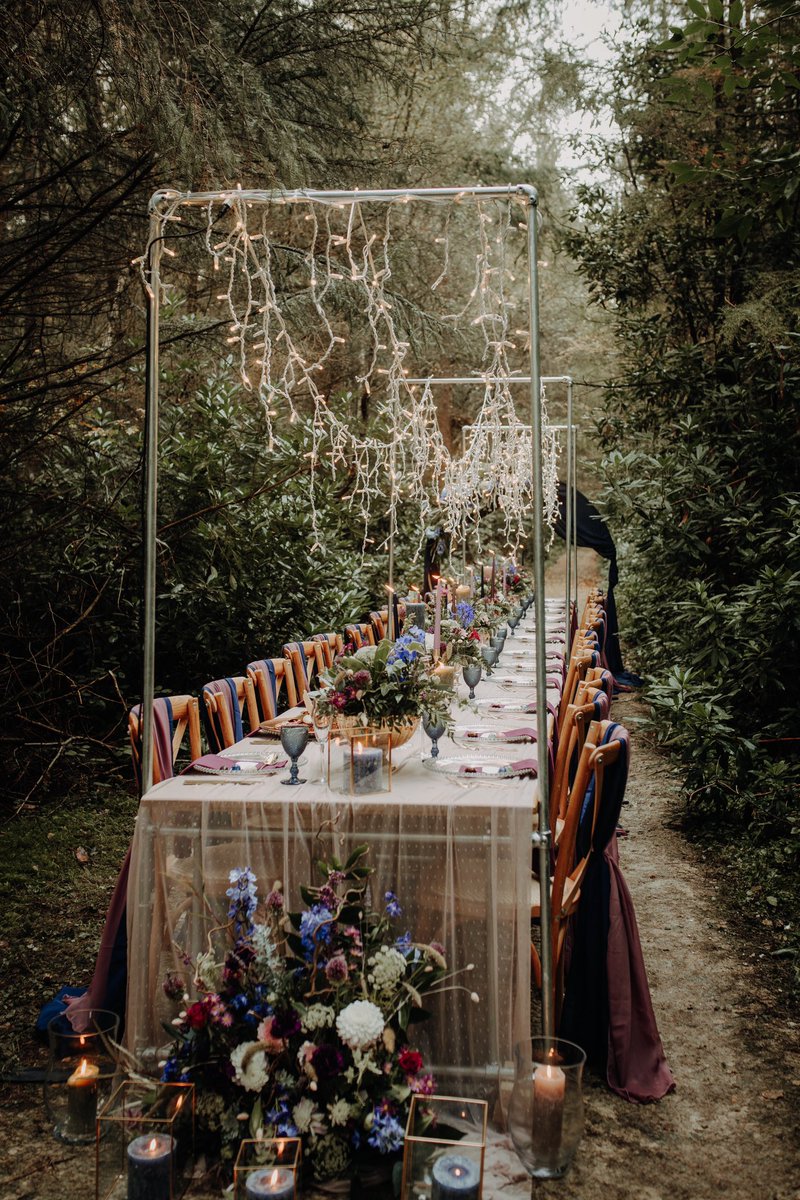 Typical Type tweet media