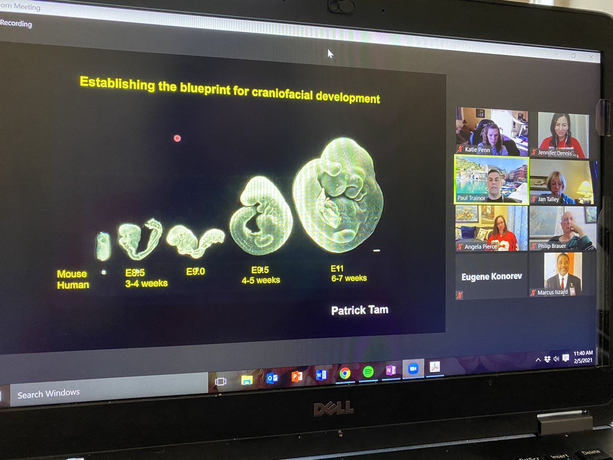 A special thank you to @aussiebiologist, Dr. Paul Trainor with @ScienceStowers, for joining the @KansasCityU faculty today for our Friday seminar series! It was a fascinating talk on the cranial neural crest & their role in ribosomopathies #embryology #neuralcrest #scienceFriday