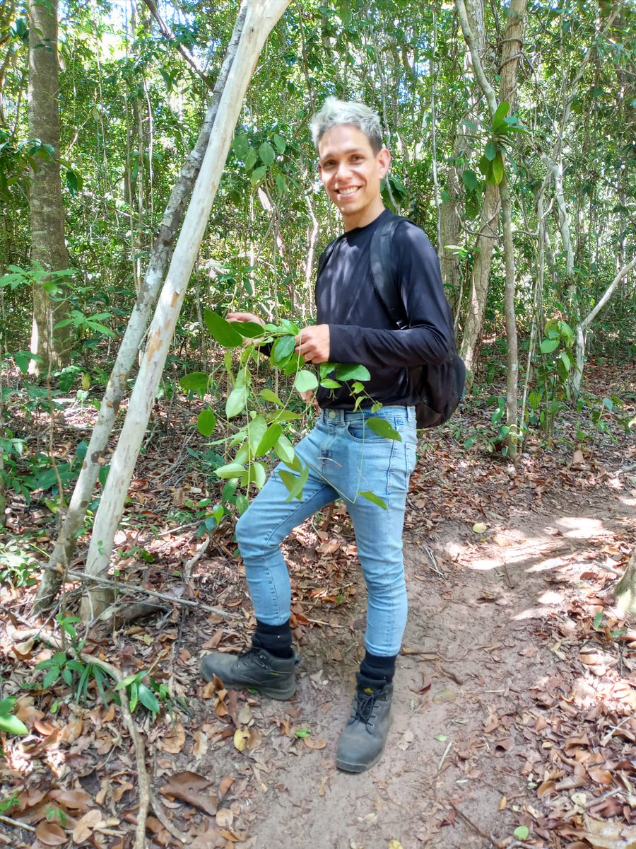Fieldwork is done! I am very grateful to the local experts that took many risks to collect plants and butterflies with me: Larissa Santos, <a href="/AnandaSilvaBio/">Ananda Silva</a>  e Renato Ramos. Also to my husband <a href="/AlvesDelanno/">Delanno Alves</a> that became an amazing butterfly catcher in the past 2 months.