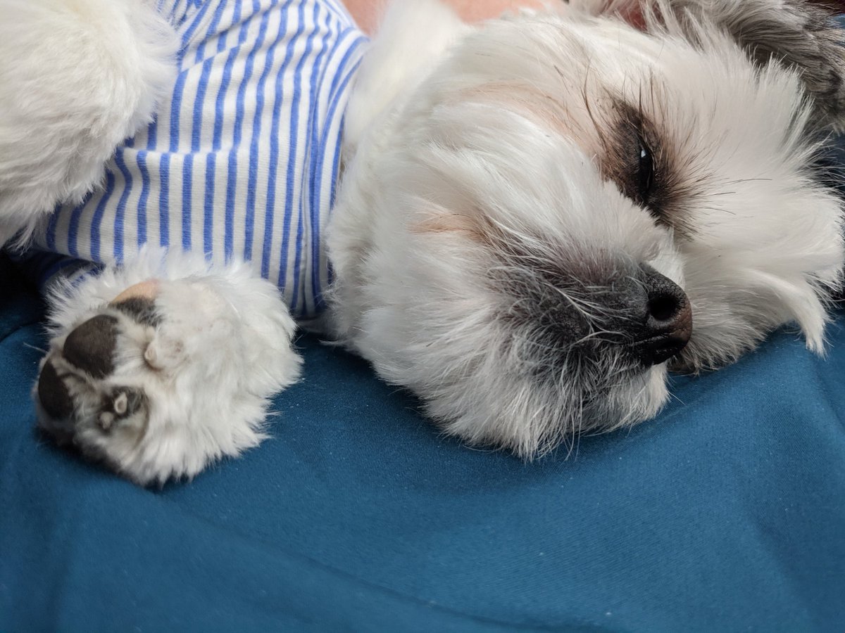 I am sooooo tired after all the fun yesterday.  I am pooped. Can everyday be like yesterday?!