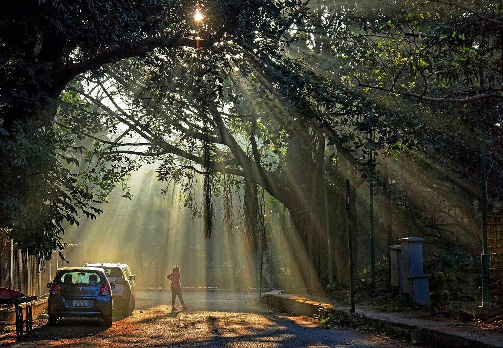 ⁣Morning!⠀
⠀
#BengaluruMorning ⁣#nammabengaluru #morningsunlight instagr.am/p/CK733VllS0X/