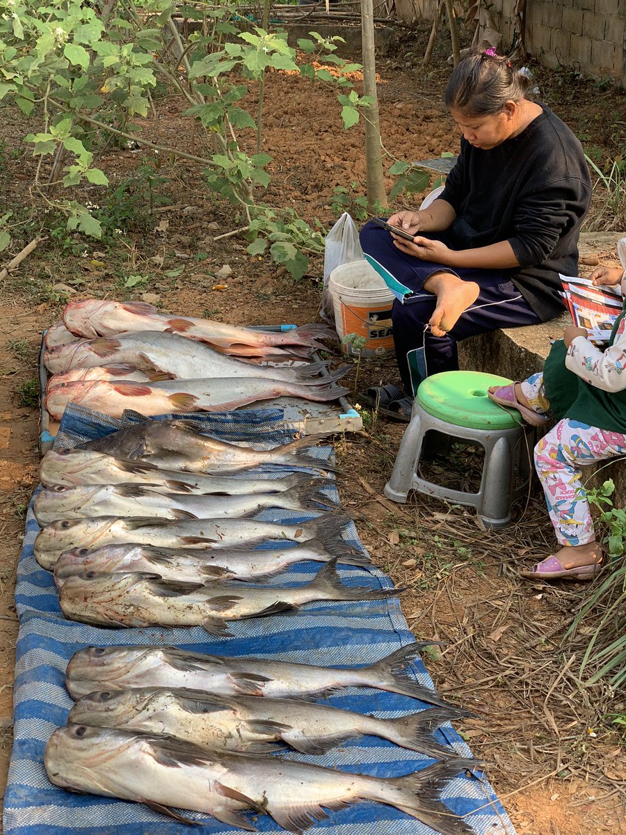 elehelp's tweet photo. #FishingMania in #SobRuak, #IWouldntEarAnythingThatCameOutOfThatPond ‘cause #IveSeenWhatFlowsIntoIt! #เชียงรายสบายดี #เชียงรายทริป #รีวิวเชียงราย #เที่ยวเชียงราย #ReviewChiangRai https://t.co/I5s4Uuhjza