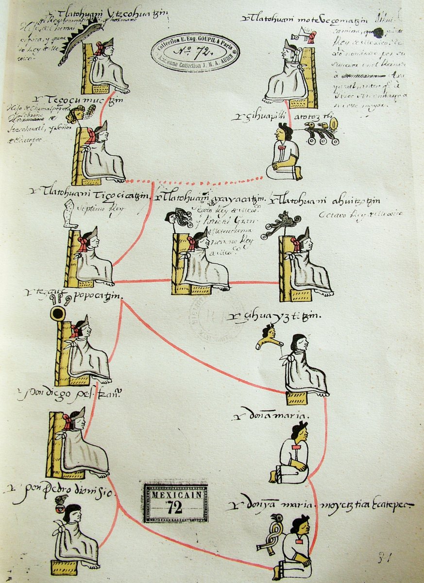 Spaniards looted the treasury, fled Tenochtitlan, and took Moctezuma’s highest-ranking offspring with them. Cortes was covering every angle: heirs of Motecuhzoma might provide legitimacy for future alliances, pawns for politicking, bait for ransom, or hostages for leverage. 9/