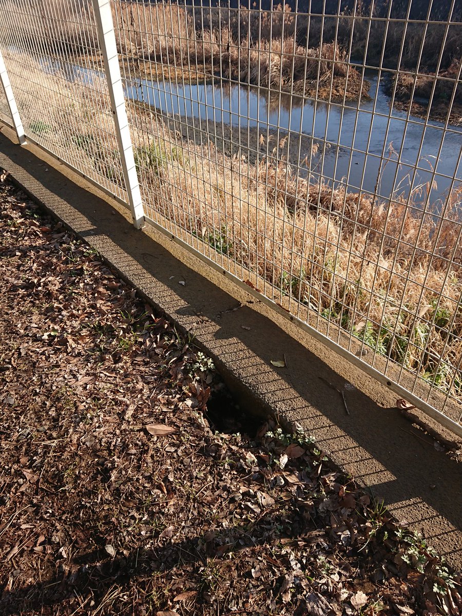 yuumuu3's tweet photo. 誰のおうちだろう…?🤔🏘️ #お散歩 https://t.co/FzE908jYq7