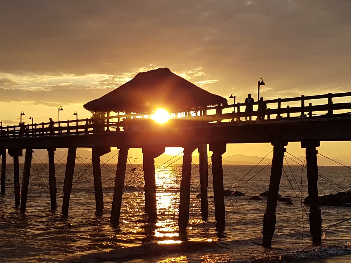 Felipe J. Zárate M. tweet media