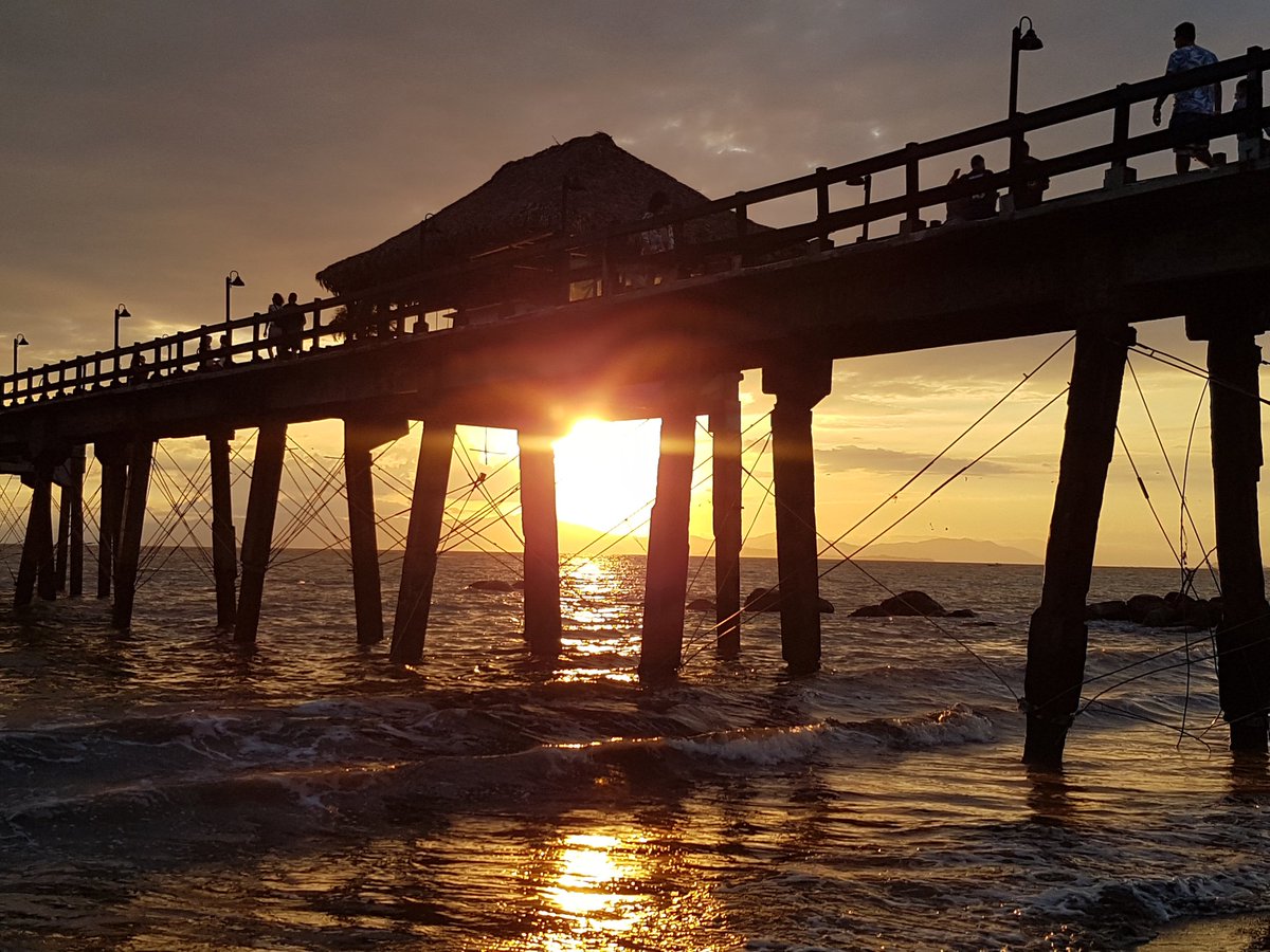 Felipe J. Zárate M. tweet media