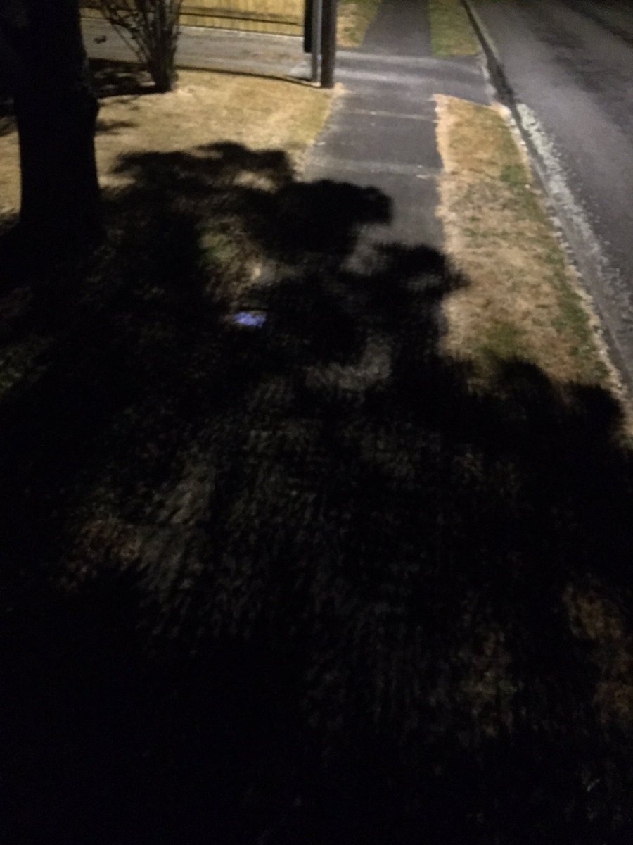 Walking home last night I was buzzing out at this weird realLife shadow rendering. Apparently caused by a multi-LED streetlight
