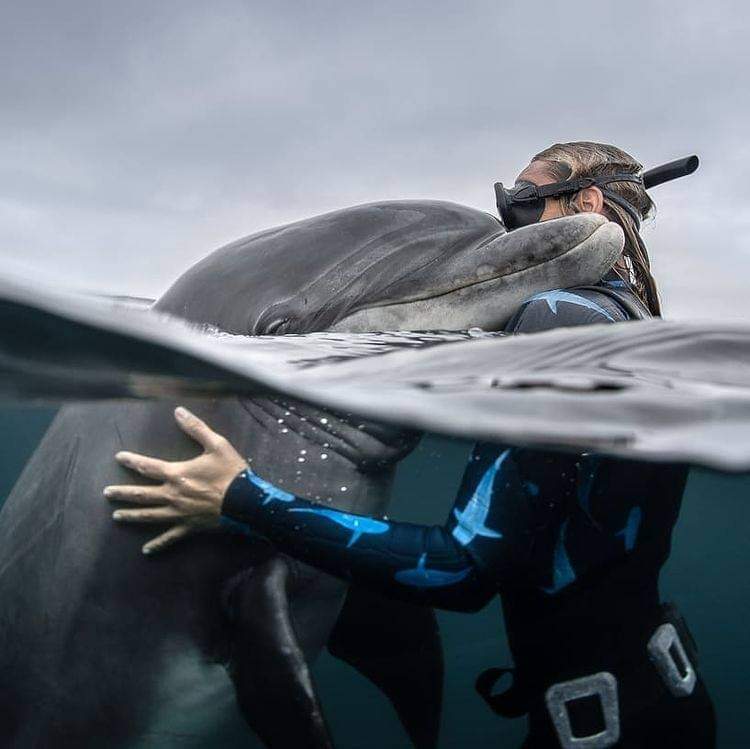 Precious moments 

📸 @georgekarbus

#dolphin #deeperbluephoto #freediving #freedivers #saltlife #onebreath #oceans #epic #diving #apnea #explore #underwaterphotography #underwater #freediver #underwaterworld  #onebreath #freedive #ononebreath