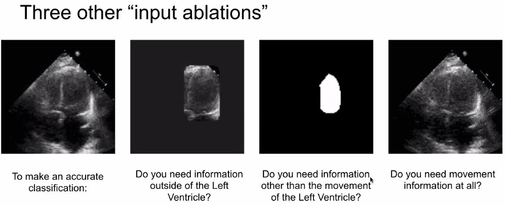 To understand these results, we performed a variety of ablation experiments to try to understand the most relevant imaging features and show predictive value in both texture and temporal motion information. 5/n