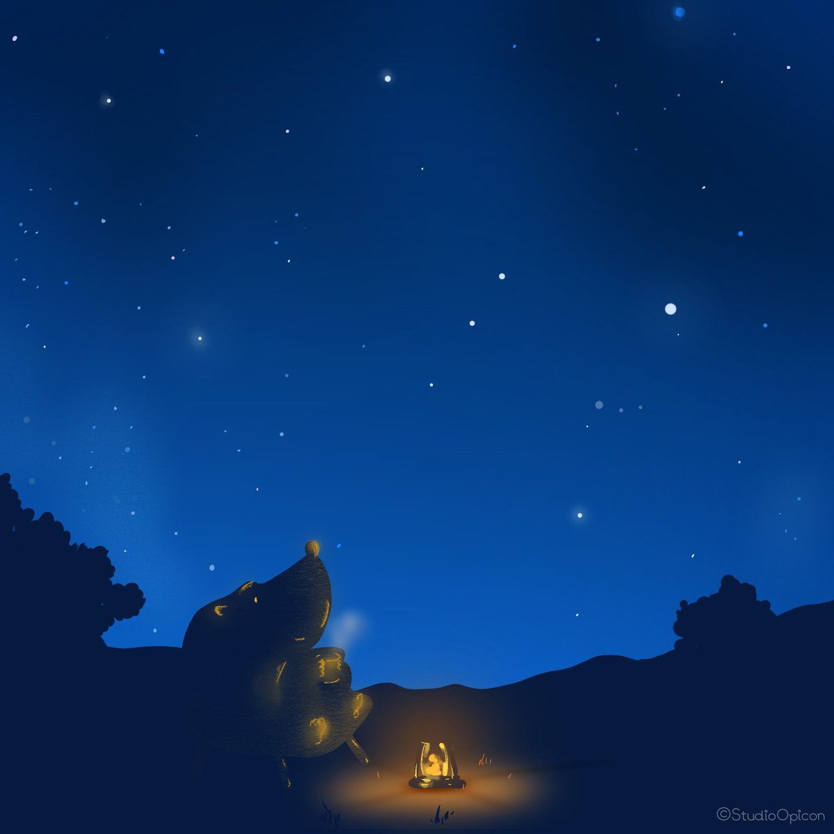 冬の夜空