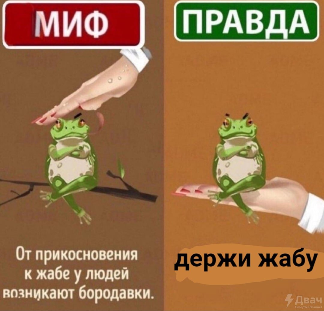 EtgOR__WYAEP7PL?format=jpg&name=medium