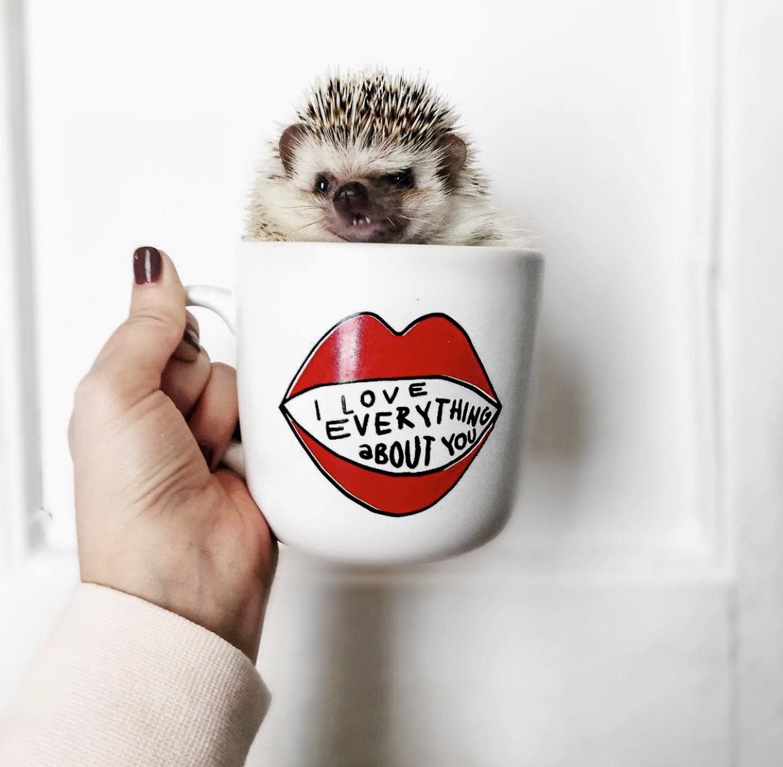 Open this thread for an adorably good time. 