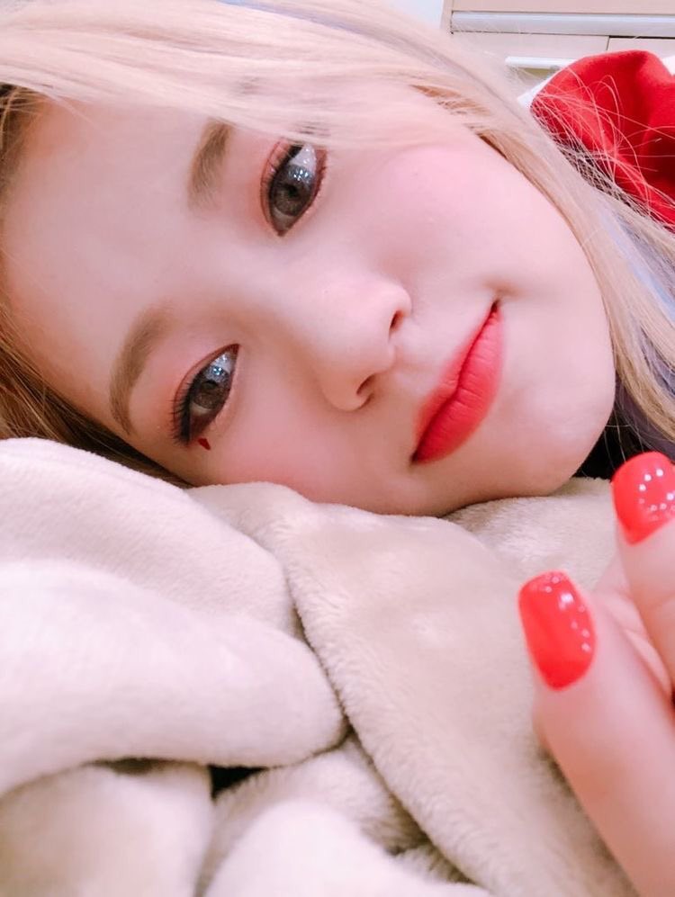 picsofelly's tweet image. cutie