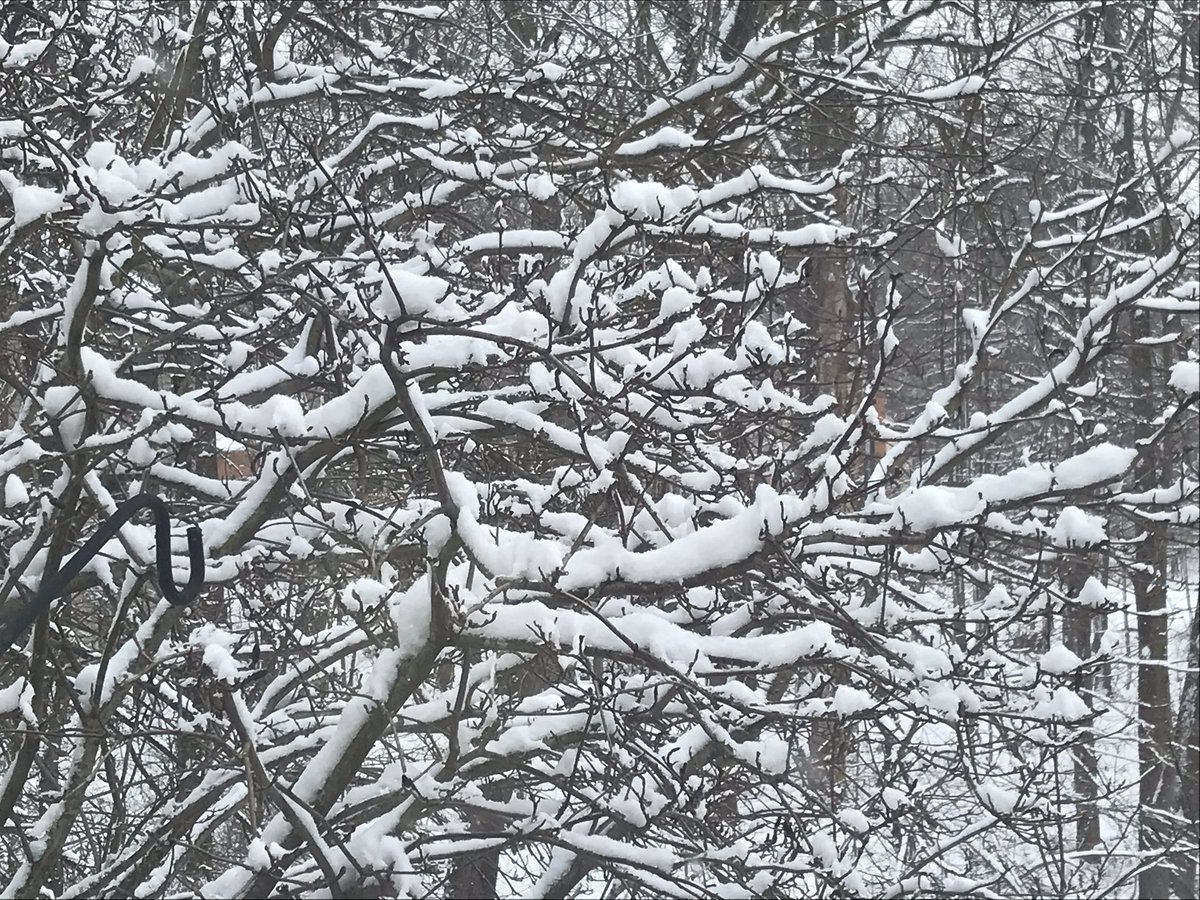 USCarbonProgram's tweet photo. Did you miss our latest Carbon Digest? https://t.co/1nYheDVRmA 🌎New carbon cycle videos and recap of AGU events 🌎Illustrating what informs U.S. Carbon Cycle Science Program Strategic Planning 🌎Research Informing Decisions #SOCCR2 and White House Executive Orders @UCAR_CPAESS https://t.co/nkL0KZhjGb