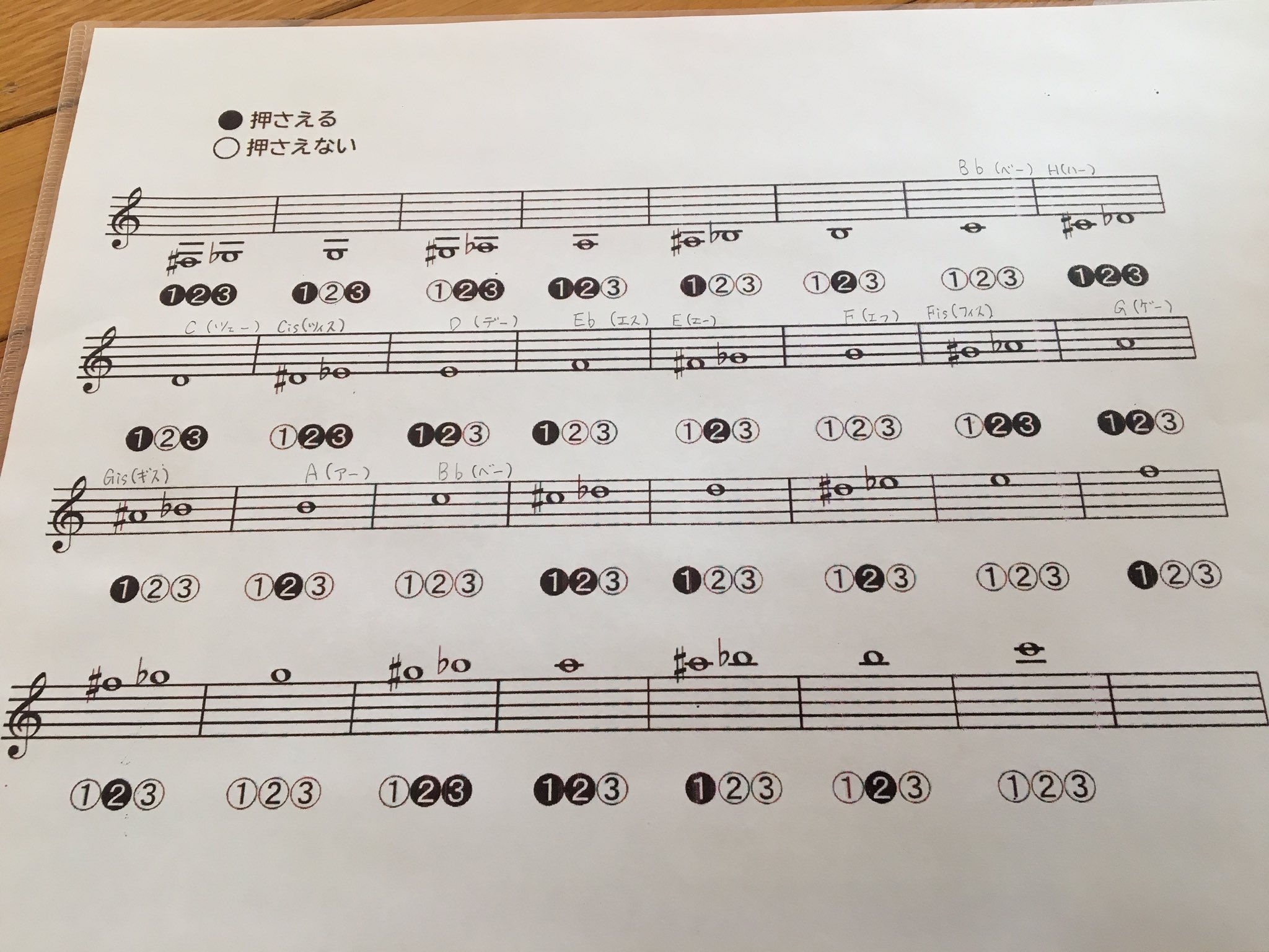 こるっち ゆくゆくは必要になるので ドイツ音名も振ってあげた ネットで調べながらw T Co Pkollw2xkt Twitter
