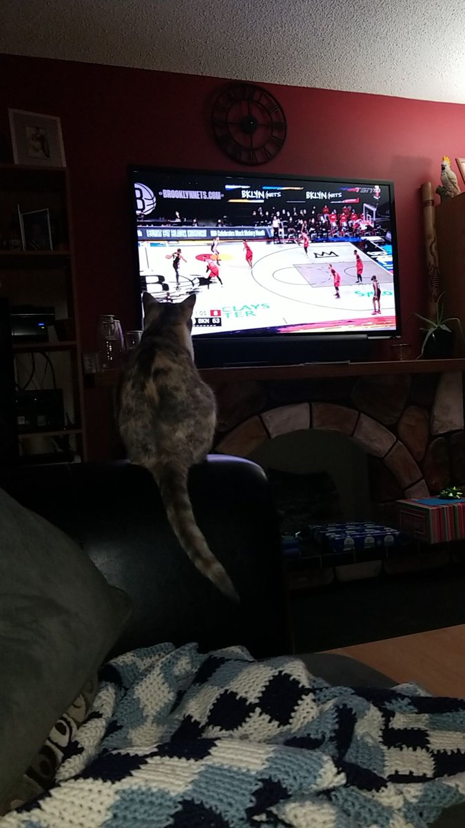annawagner0612's tweet photo. #tangerinefanangle Penny's cheering on the @Raptors tonight! https://t.co/Ua1jrCcI27