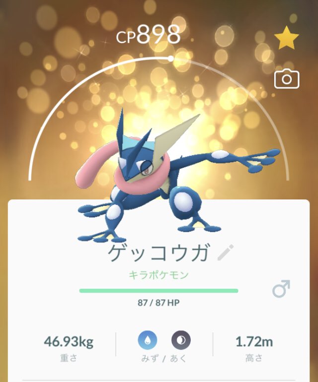 パプリカ ケロマツのcp低すぎて進化させてなかったけど 息子と交換したらキラポケモンになったから進化させちゃった 相変わらずcp低いけど 笑 ポケモンgo キラポケモン T Co Ddtqavjzsi Twitter