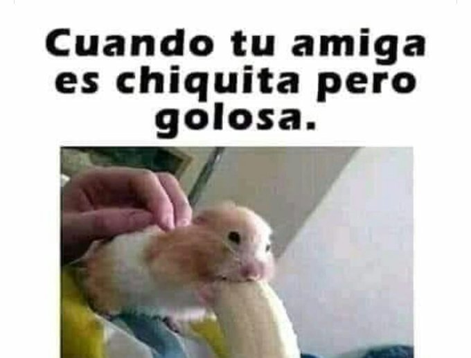 #porno #sexo #xxx #amiga #webcam #flaco #latino #caliente https://t.co/59Y0hZWOa3<a href="/tag/porno"class="tags">#porno</a><a href="/tag/sexo"class="tags">#sexo</a><a href="/tag/xxx"class="tags">#xxx</a><a href="/tag/amiga"class="tags">#amiga</a><a href="/tag/webcam"class="tags">#webcam</a><a href="/tag/flaco"class="tags">#flaco</a><a href="/tag/latino"class="tags">#latino</a><a href="/tag/caliente"class="tags"><span>#caliente</span></a>