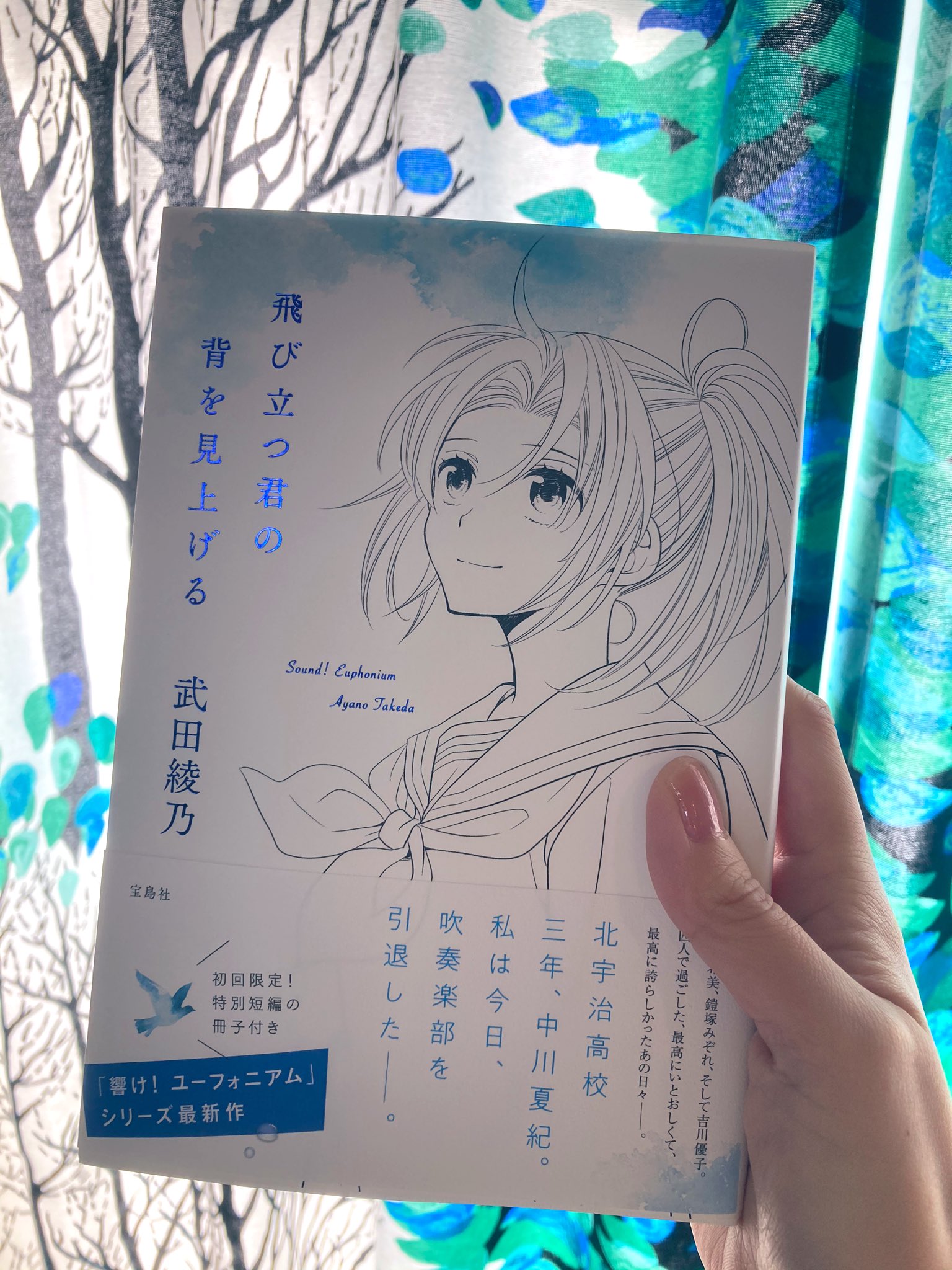 響け！ユーフォニアム全巻　 飛び立つ君の背を見上げる　13冊セット　武田綾乃