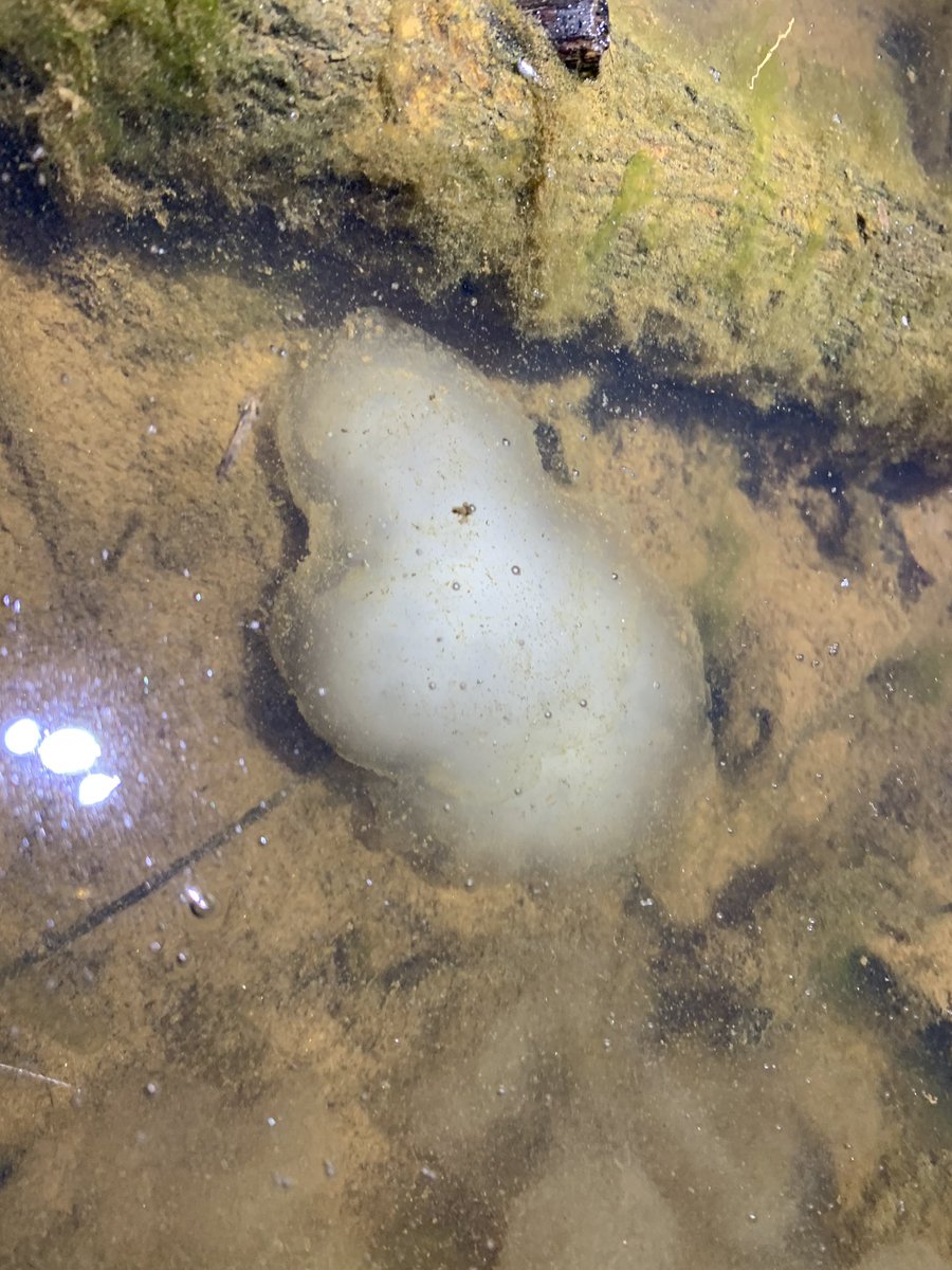 Kamil Szepanski tweet media