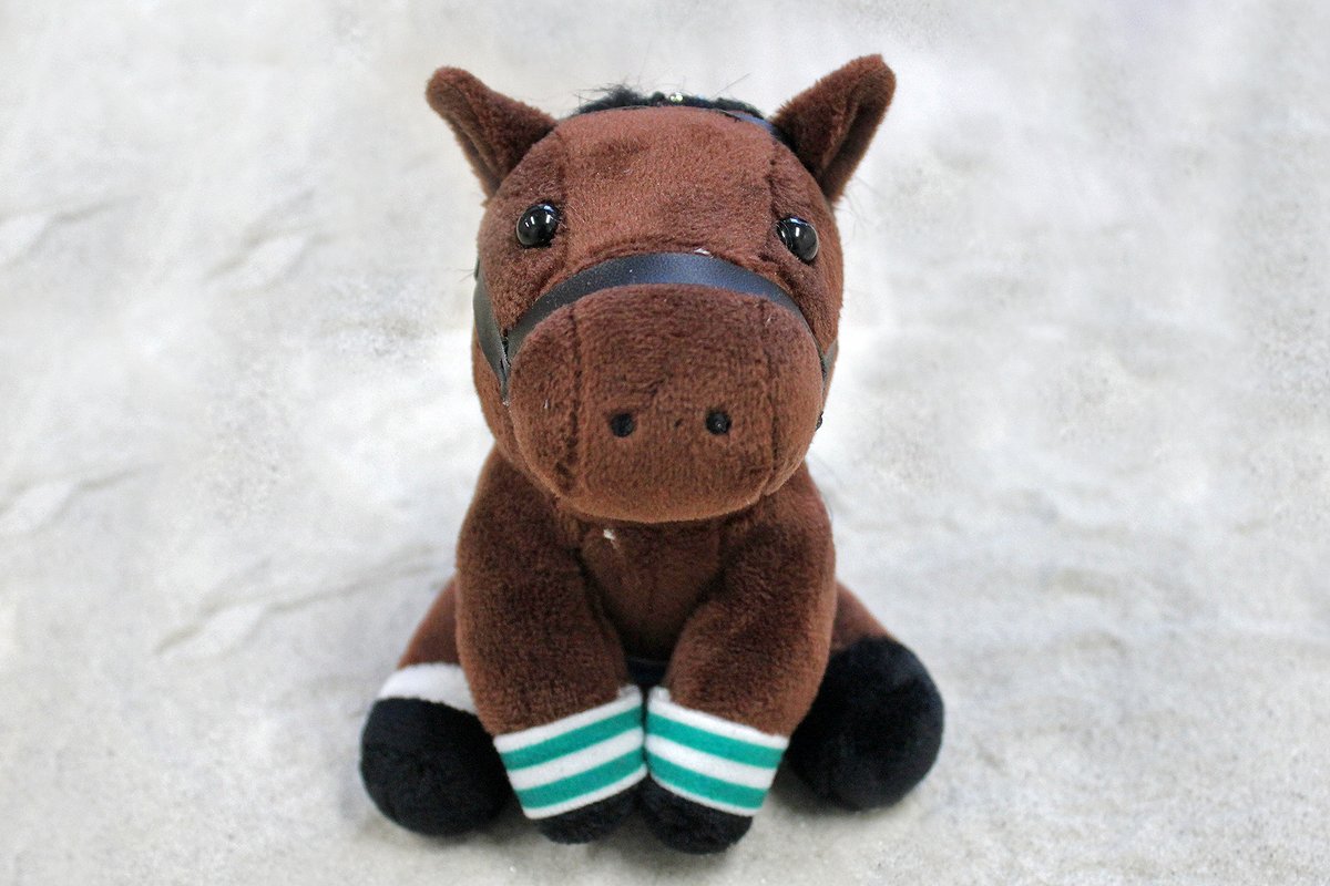 アイドルホース　ルヴァンスレーヴ ルヴァンスレーヴのアイドルホース(一般未発売)を、抽せんで10名の方に