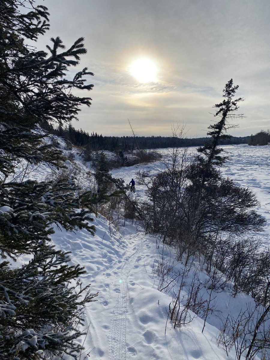 This brutality was beyond us.