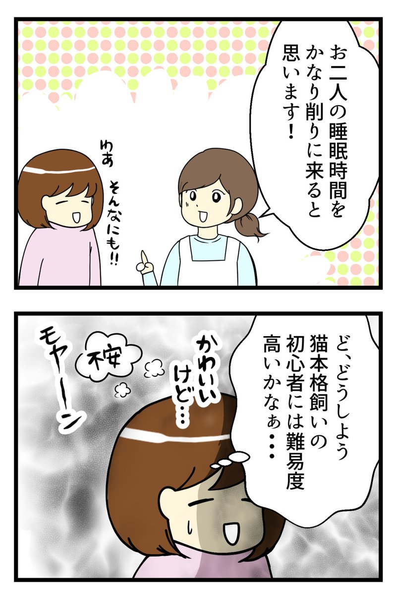 猫探し編⑧-うちの子におなりよ #漫画が読めるハッシュタグ #保護猫さんと暮らす #猫のいる生活

施設のスタッフさんが一言添えるほどの元気っぷり 