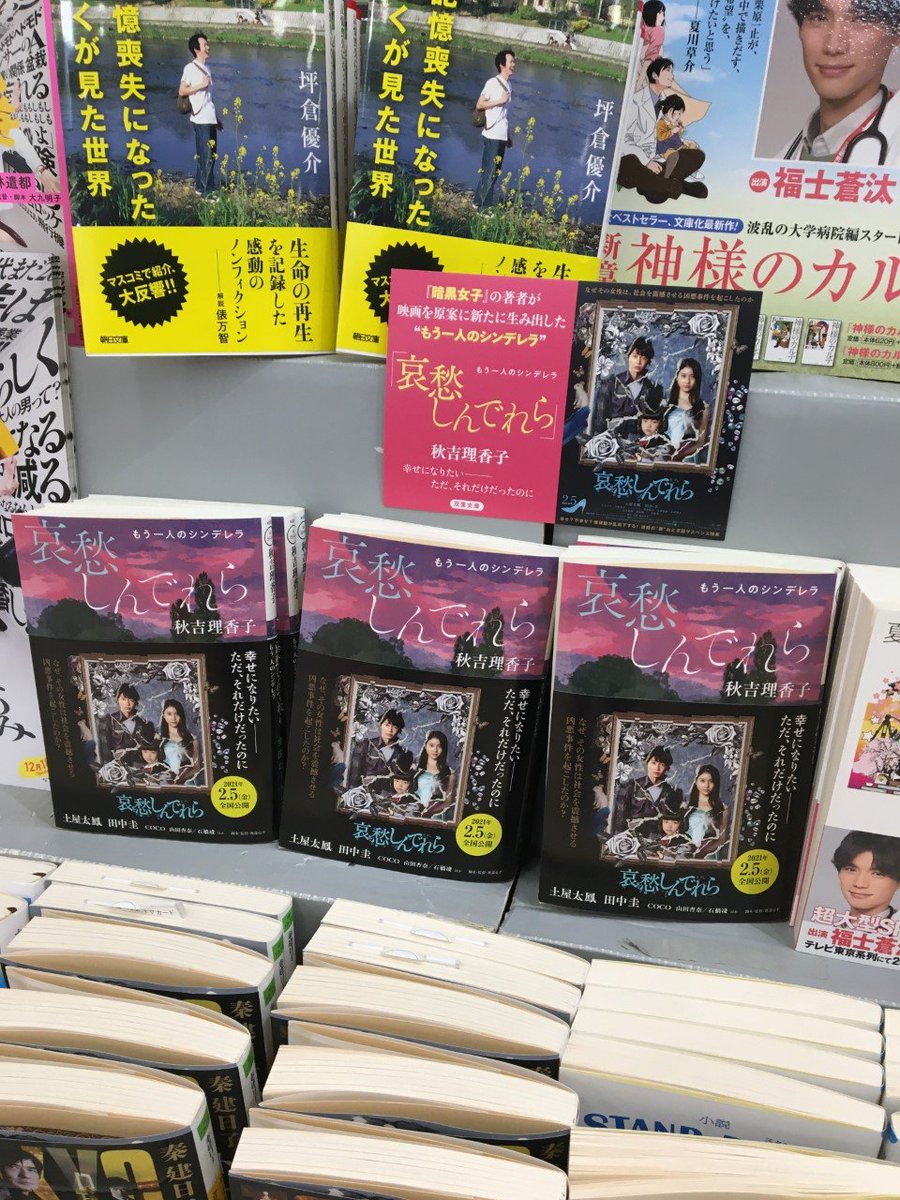 哀愁しんでれら 未来 最新情報まとめ みんなの評価 レビューが見れる ナウティスモーション