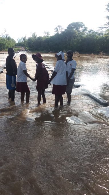 This is in Tsholotsho-Zimbabwe where school kids are marooned due to failure by Government to refurbish colonial infrastructure!

It costs very little to build a decent bridge for these communities, but the money is being LOOTED to buy Landcruisers by ZANUPF politicians!
#DemLoot