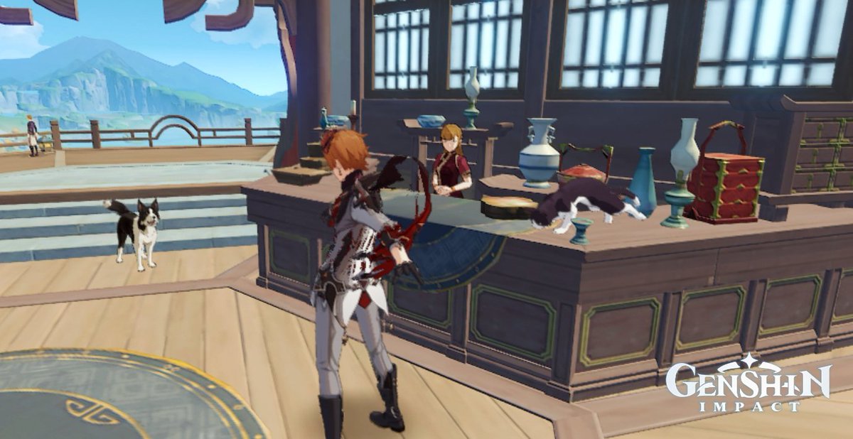 childe doing performances for the cat and dog and they like it very much