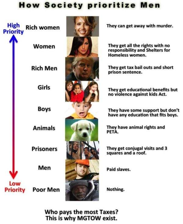 CageMaxx's tweet image. Hierarchy of society