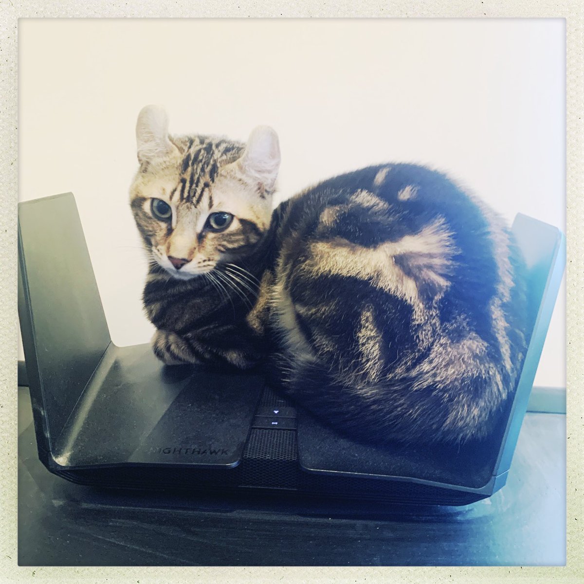 Brian Cox tweet media