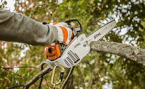 [Top-Rated] 6 Best Limbing Chainsaw You Should Try in 2021 nextsaw.com/best-limbing-c… 

#best_pro_limbing_chainsaw
#limbing_chainsaw_reviews
#best_small_limbing_chainsaw
#tree_limbing_chainsaw
#chainsaw_limbing_safety
#FramingBritneySpears
#DragRace
#KnuckleMania