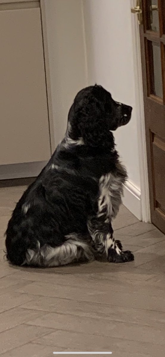 Andy AJ Johnson tweet media