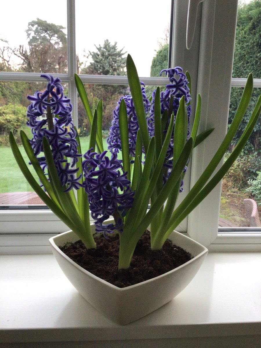 HowellsGb's tweet image. 