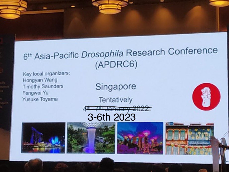 Hongyan Wang (@hongyanwang9) on Twitter photo The Asia-Pacific Drosophila Research Conference 6 #apdrc is postponed to 3-6th 2023!
We hope to meet everyone in person in Singapore! <a href="/Yusuke_Toyama/">Yusuke Toyama</a> <a href="/TimESaunders/">Timothy Saunders</a> <a href="/fengwei_yu/">Fengwei YU</a> <a href="/apdrc5/">APDRC5</a> The Asia-Pacific Drosophila Research Conference 6 #apdrc is postponed to 3-6th 2023!
We hope to meet everyone in person in Singapore! <a href="/Yusuke_Toyama/">Yusuke Toyama</a> <a href="/TimESaunders/">Timothy Saunders</a> <a href="/fengwei_yu/">Fengwei YU</a> <a href="/apdrc5/">APDRC5</a>