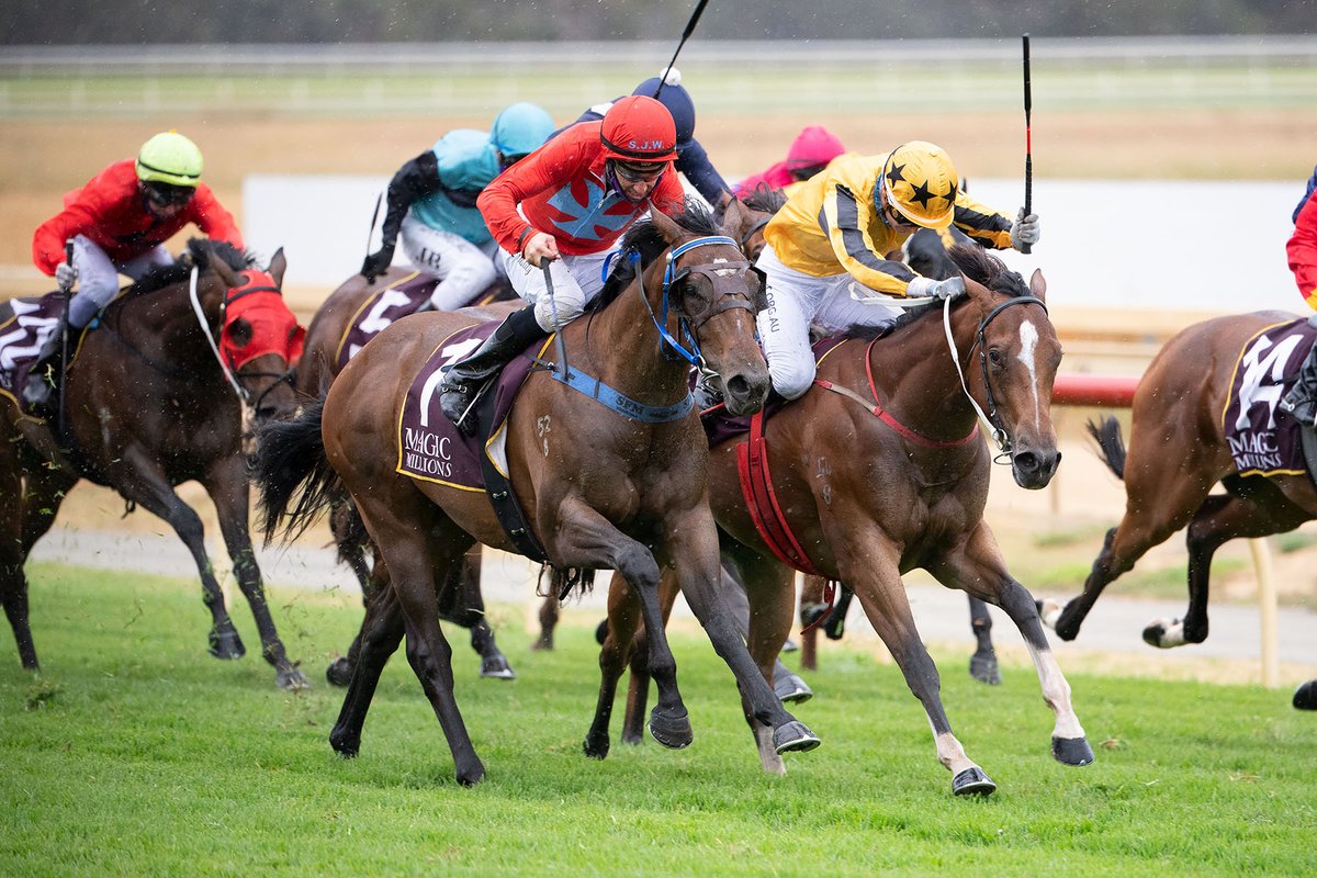 mmsnippets's tweet photo. Ex Sport Man flies home to win the $250,000 Magic Millions WA 2YO Classic (RL) at @PinjarraPark for @SmcGrudds and @sjwolferacing. The winner was a $40,000 Perth Yearling Sale buy from Mungrup Stud draft. Son of Playing God! 
#MMWA2021 https://t.co/nRcLKdgsls