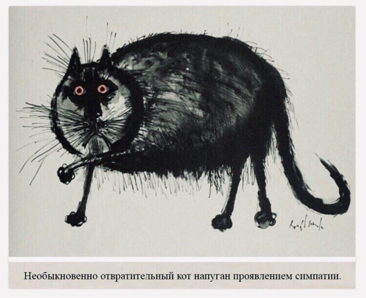 Я когда меня весь день все поздравляют с др: