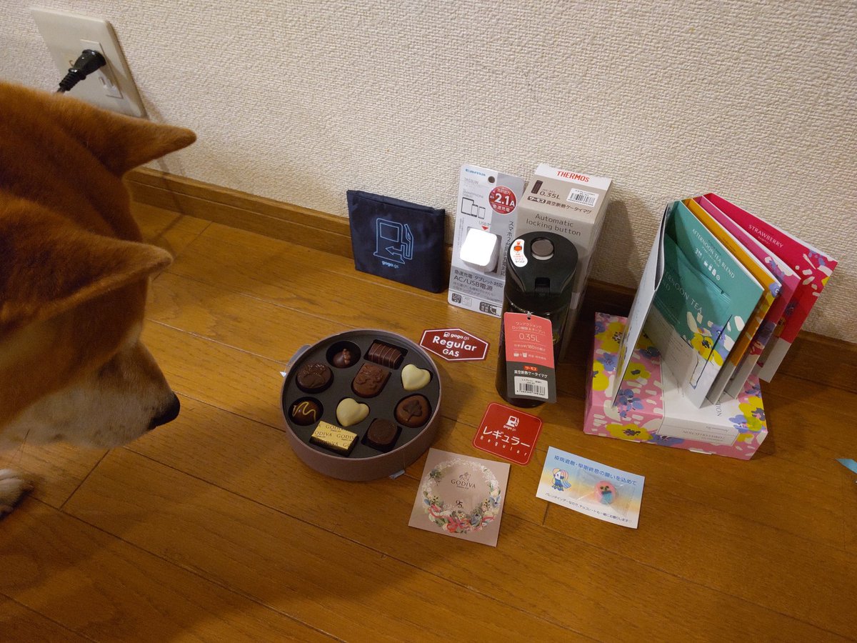 T Black200 On Twitter 家 荷物来てる 私 あーそー 家 また ゴーゴーラボから 私 あーそー 家 食品って書いてあるけど 今年もまたチョコ取られそうな悪寒 あ 届きました ありがとうございました 犬も虎視眈々と狙っていますw 犬は チョコ