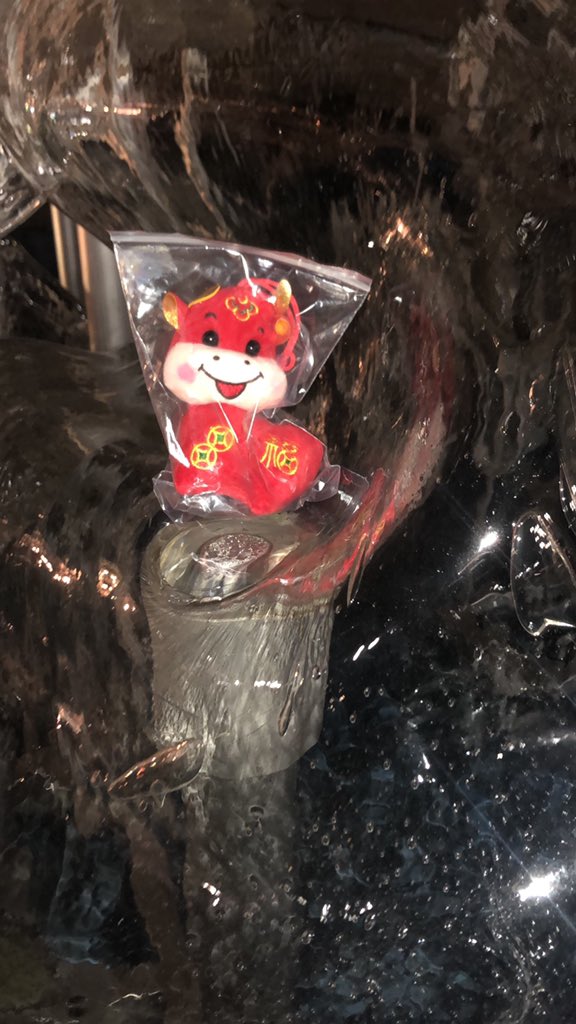 monkeyshiner4's tweet photo. Come find me please #monkeyshines2021 https://t.co/DQjsztXFT7