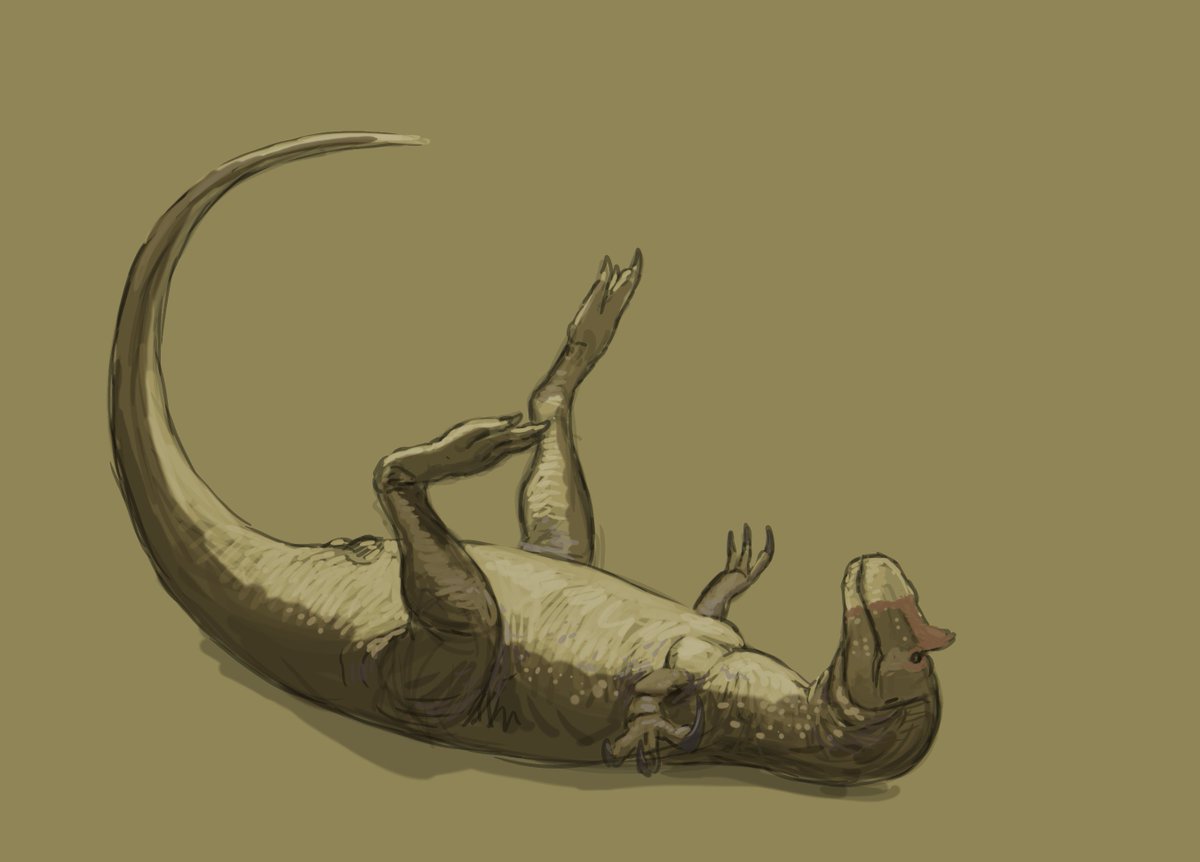 JoschuaKnuppe's tweet photo. Results from the #paleostream Pleistopliopicopleuroplateopolyplioparvipanpachypampaponerprotopaenpseudoplesioparapropalaehoplophorus, Leedsichthys, Saurophagnax and Batrachosuchus.

#paleoart #dinosaurs #glyptodonts #meme #fish #skatching https://t.co/g2Zk3RzX3H