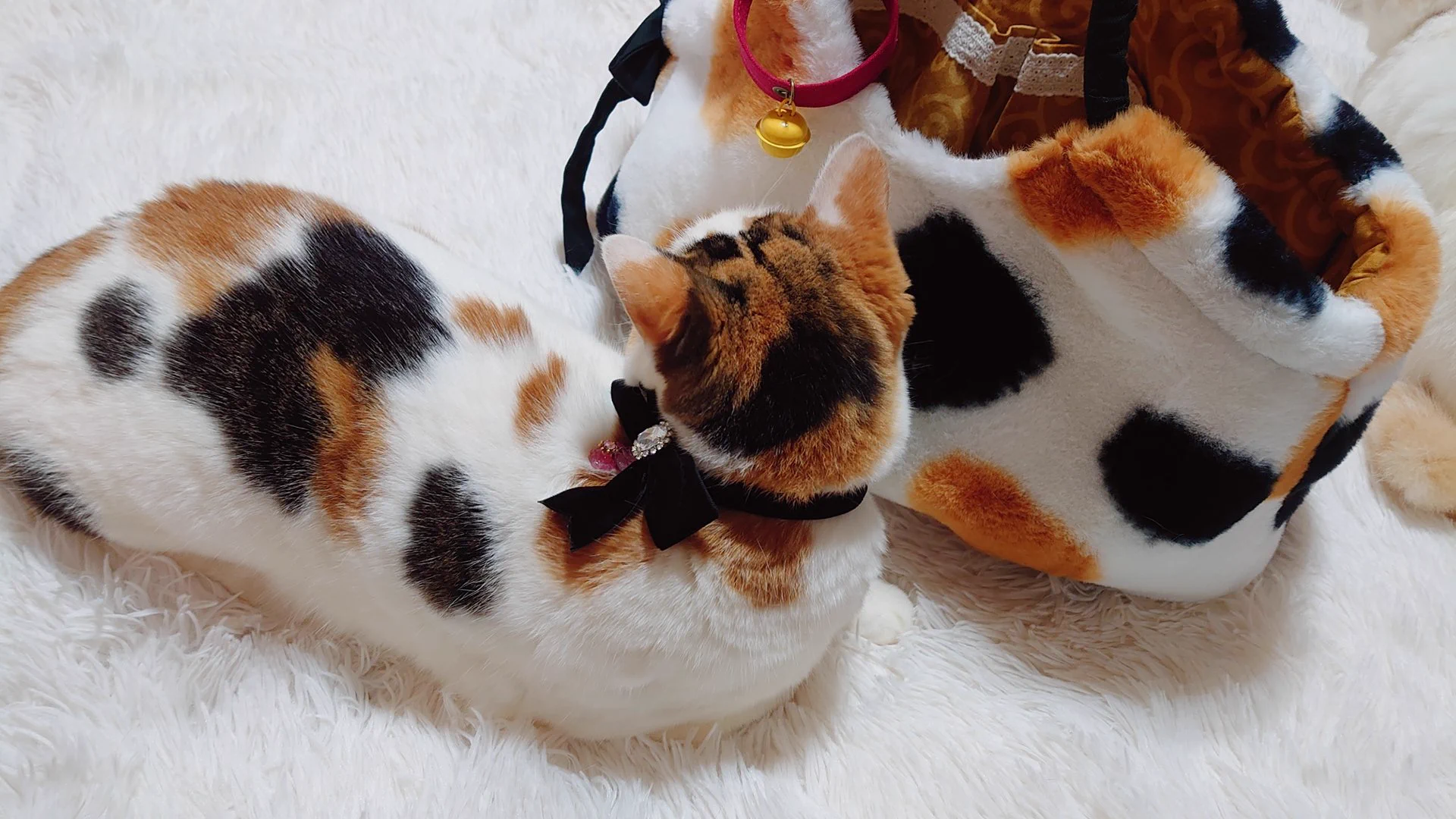愛猫とおそろいの柄が素敵！一目惚れしたバッグ！