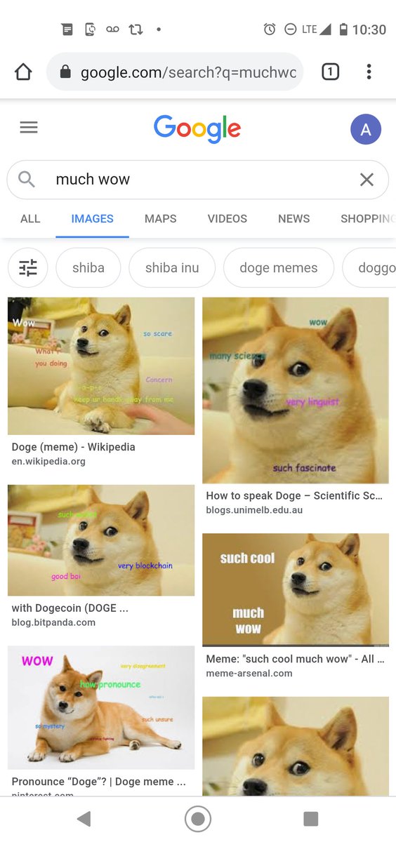 Doge Army (@DogeArmy2021) / Posts / X