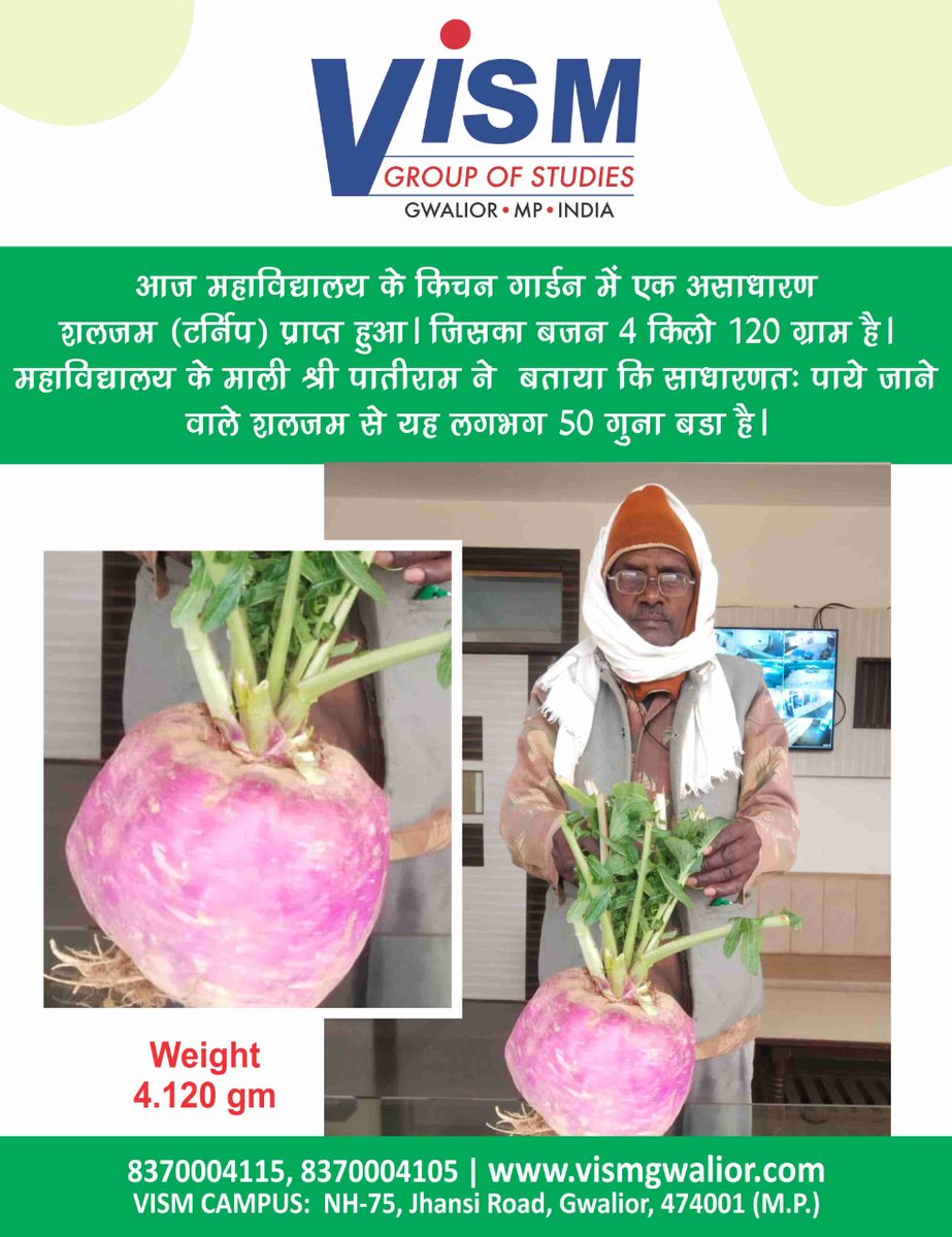 VISMGwalior's tweet photo. #VISMGroup #Large_Turnip #Extraordinary_Vegetables #Big_Turnip #Turnip 

#असाधारण_शलजम #शलगम #शलजम #बड़ा_शलजम
#ग्वालियर https://t.co/wl0361vhI0