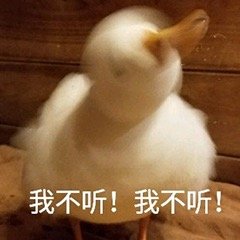 拜托你们不要再截图告诉我我被盗图的事情
我被它们拉黑了眼不见心不烦
我能做的就是以后发图一定打水印
我也很无奈啊，又不能拿它们怎样