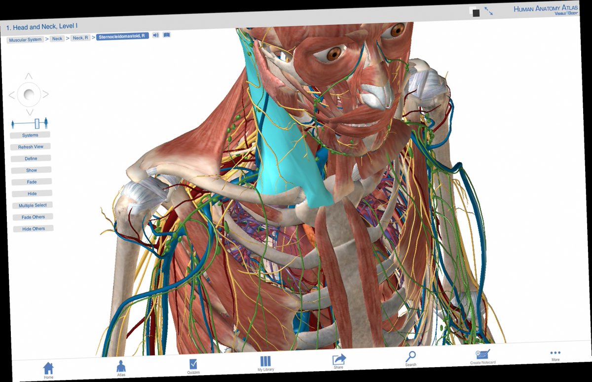 visual body human anatomy atlas visual body human anatomy atlas