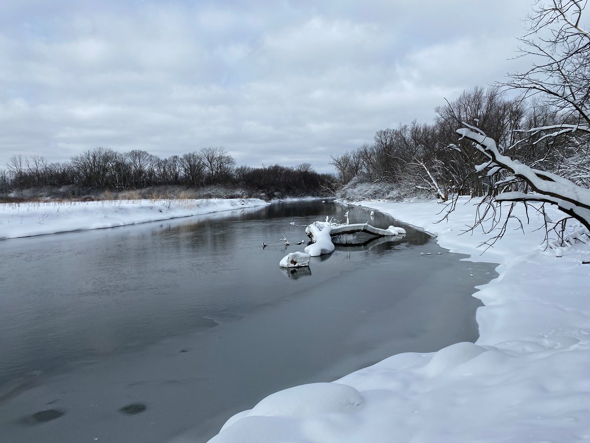 Wake up Saturday for a Virtual Walk: Des Plaines River!  Feb. 6 @ 10am. Explore the outdoors virtually directly on River Trail Nature Center’s Facebook page. No boots needed: ow.ly/wDYa50Dt1aJ

#northbrookIL  #RivertrailnatureCenter <a href="/FPDCC/">Forest Preserves</a>