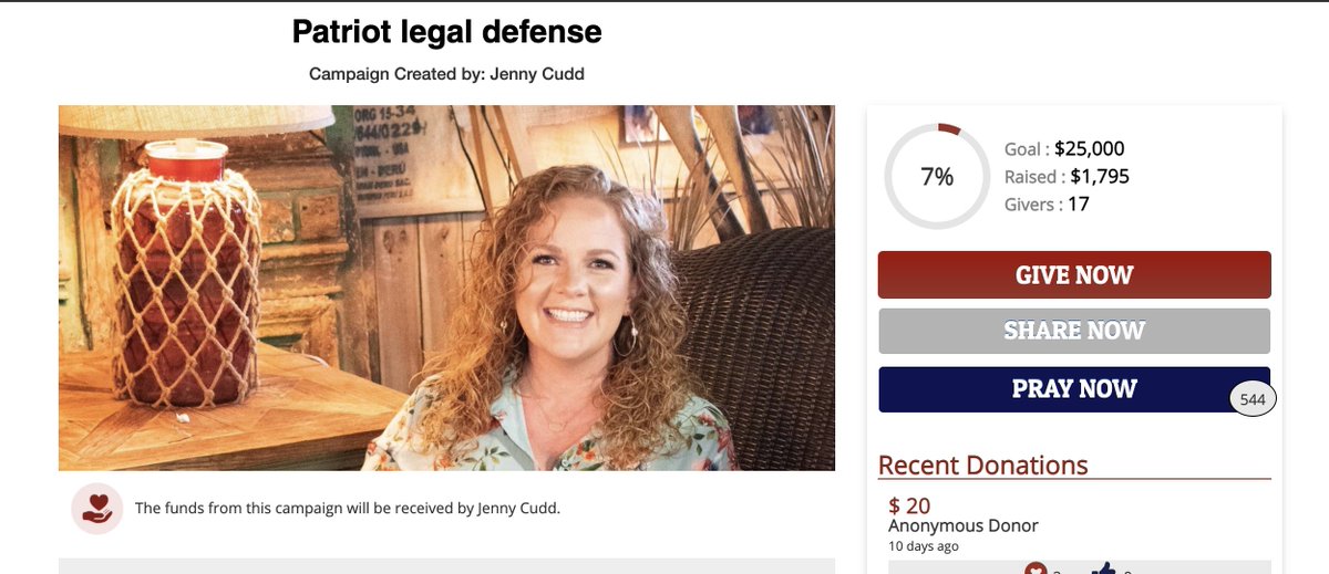 jenny cudd, the capitol rioter who just got a judge's permission to take a pretrial vacation to mexico, is fundraising on  @givesendgo with the help of  @stripe &  @GoDaddy, too!